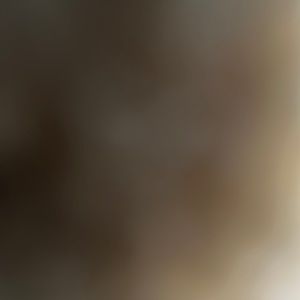 Meet your Posher, Kenia